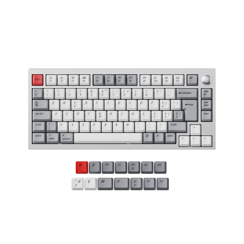 ISO & ANSI L1 & P1 OEM Dye-Sub PBT Keycap Set - Retro