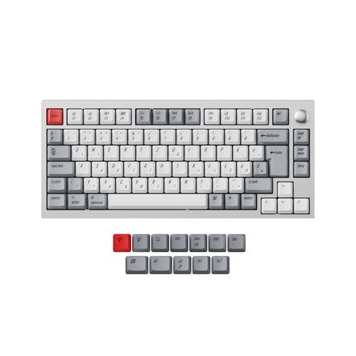 ISO & ANSI L1 & P1 OEM Dye-Sub PBT Keycap Set - Retro